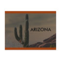ARIZONA postcards