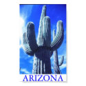 Arizona posters by gtk88594 Arizona posters