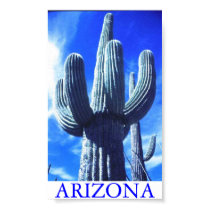 Arizona posters