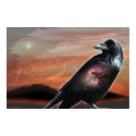 Arizona Raven posters by arteologist23 Arizona Raven posters