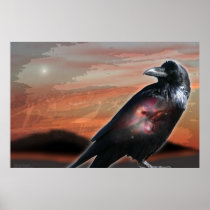 Arizona Raven Print