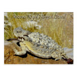 Arizona Regal Horned Lizard Post Card