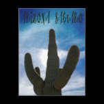 Arizona Saguaro Postcard postcards
