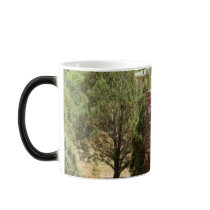 Arizona / Sedona mugs