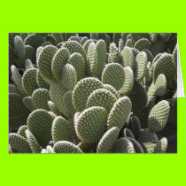 Arizona Spring3 cards