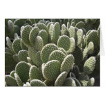 Arizona Spring3 Greeting Card