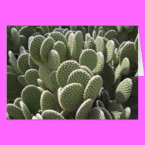 Arizona Spring3 cards
