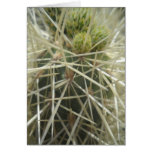 Arizona Spring4 Card