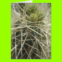 Arizona Spring4 cards