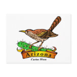 Arizona St. Flower Cactus Wren Postcards