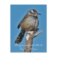 Arizona State Bird Postcards