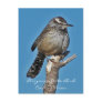 Arizona State Bird Postcards