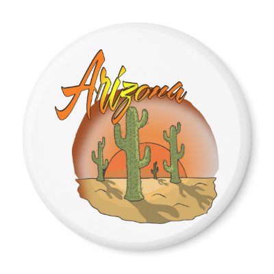 ARIZONA Sunset Cactus Refrigerator Magnets by ArizonaTees