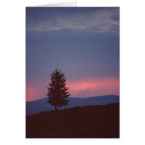 Arizona Sunset cards