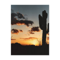 Arizona Sunset Picture Post Card