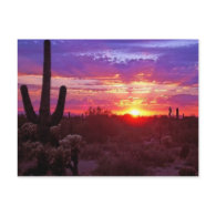 arizona sunset post cards