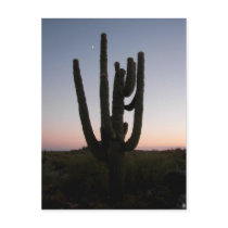 Arizona Sunset postcards
