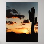 Arizona Sunset Poster