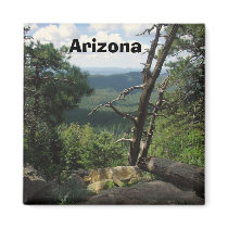 Arizona Views magnets by CindyZazzle Arizona Views magnets