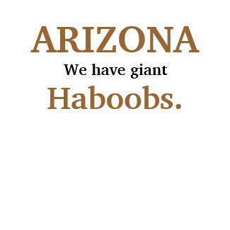 ARIZONA - We have giant Haboobs. shirt
