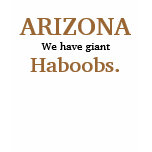 ARIZONA - We have giant Haboobs. Tank Tops