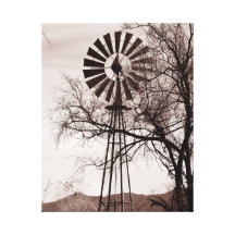 Arizona Windmill Wrapped Canvas Stretched Canvas Print