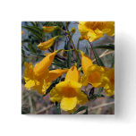 Arizona Yellow Bells buttons