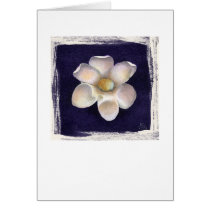 Ark Shell & Purple Flower cards by briancody Ark Shell & Purple Flower cards