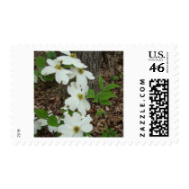 ARKANSAS DOGWOOD POSTAGE