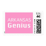 Arkansas Genius Gifts Postage Stamps