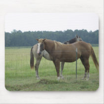 Arkansas Horses mousepads
