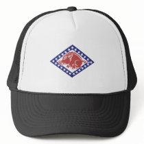 Arkansas National Guard Hat