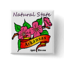 Arkansas Natural State Apple Blossom Pinback Buttons