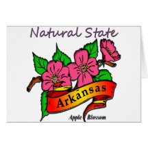 Arkansas Natural State Apple Blossom Cards