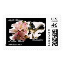Arkansas state stamp