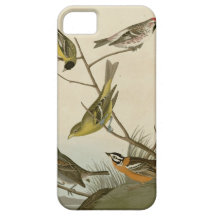 Arkansaw Siskin, Mealy Red-poll, Louisiana Tanager iPhone 5 Covers