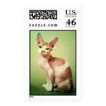 arlene620 postage