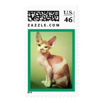 arlene620 postage