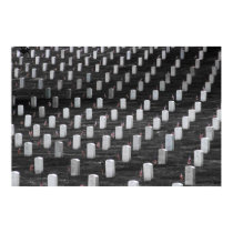 Arlington B&W Color Flags posters