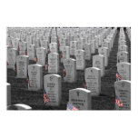 Arlington B&W Flags Color