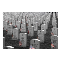 Arlington B&W Flags Color posters