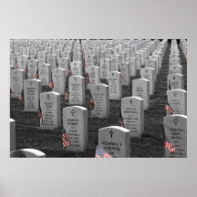 Arlington B&W Flags Color Poster