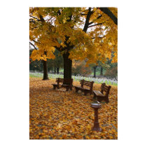 Arlington Benches posters