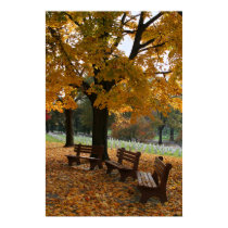 Arlington Benches posters