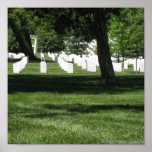 Arlington Shade Print
