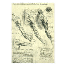 Arm and Shoulder Muscles Anatomy Leonardo da Vinci Invite