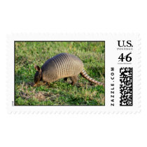 Armadillo-1 Postage Stamps