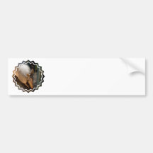 Armadillo Bumper Stickers