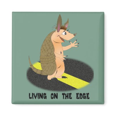 Armadillo Edge Square Magnet by ChiaPetRescue