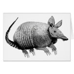 Armadillo from Texas - Glaze Cards